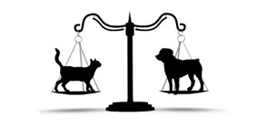 宠物动物的监管：中国与欧盟立法之比较